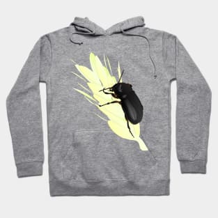 Zabrus beetle eating cereal Hoodie